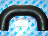 ھC-L(fng)LP11P01009P1
